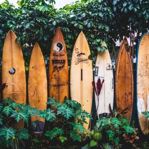 HAWAIIAN