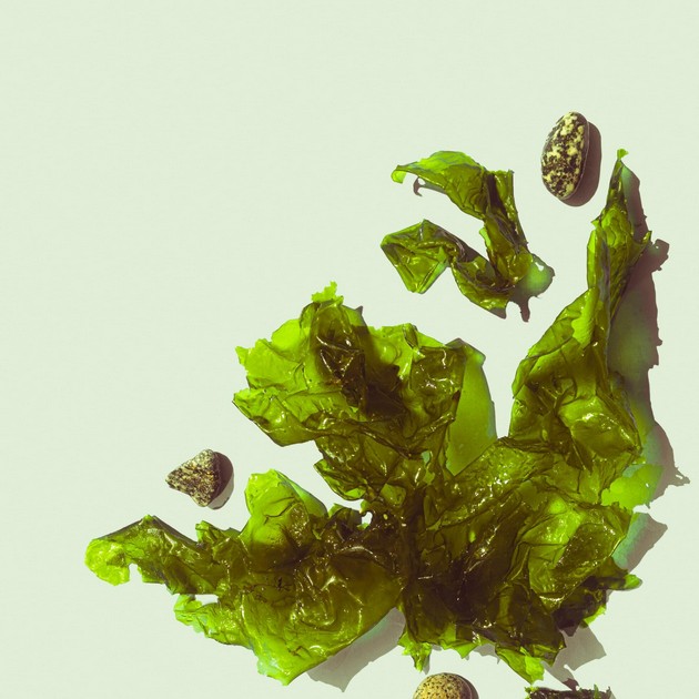 ezgif-2-35e5191b86.jpg SEAWEED MUD